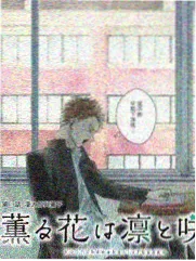 零的执行人国语配音封面